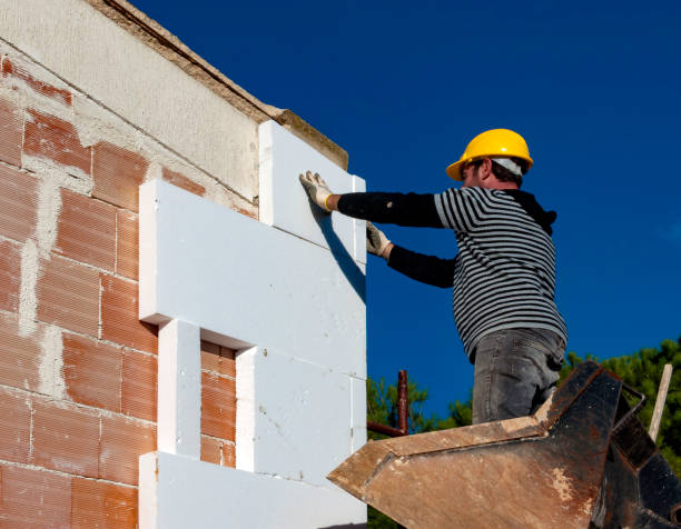 Best Insulation Inspection Services  in Spring Creek, NV
