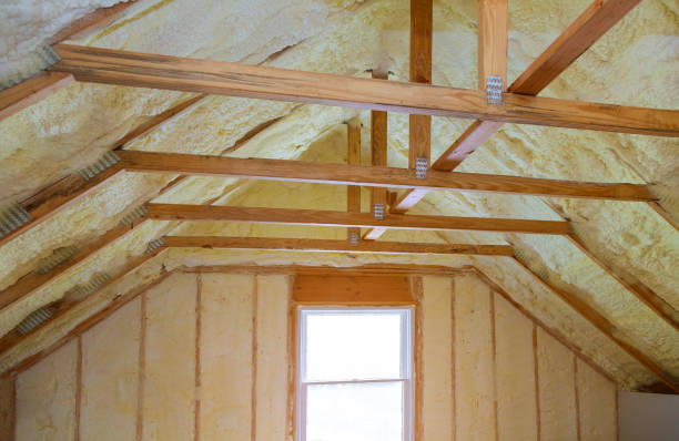 Best Best Insulation Companies  in Spring Creek, NV