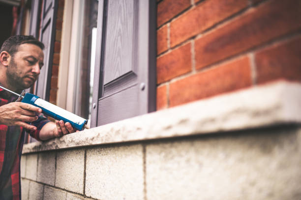 Best Home Insulation Services  in Spring Creek, NV