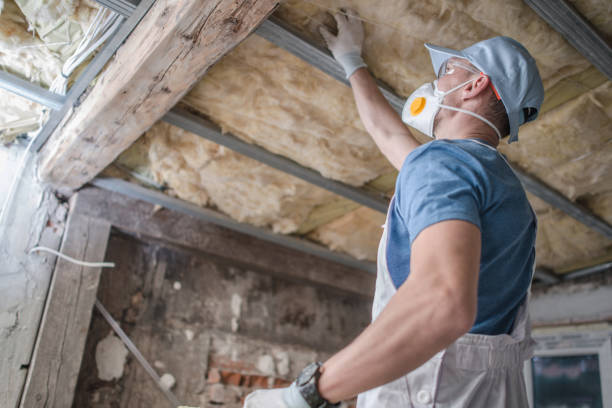 Best Affordable Insulation Services  in Spring Creek, NV
