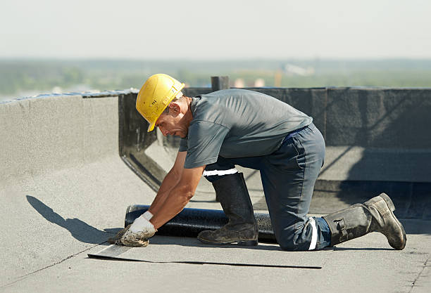 Best Insulation for New Construction  in Spring Creek, NV