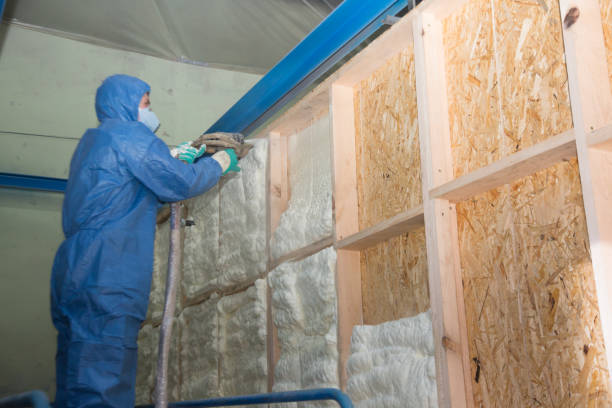 Best Attic Insulation Installation  in Spring Creek, NV