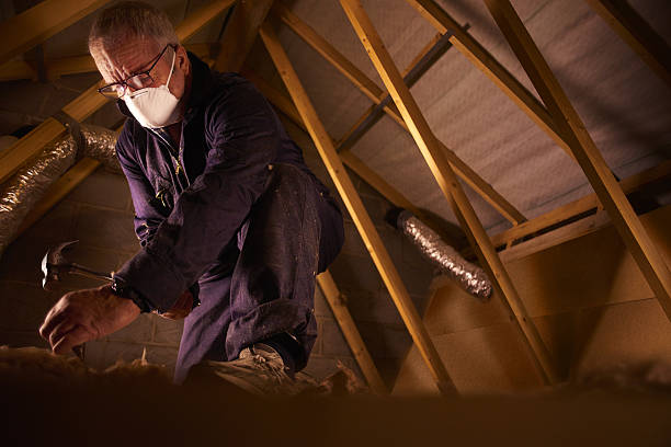 Best Wall Insulation Contractor  in Spring Creek, NV